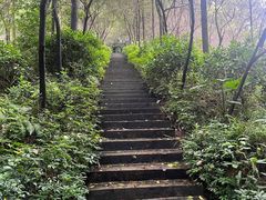 -广州市帽峰山景区