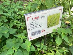 -广州神农草堂中医药博物馆