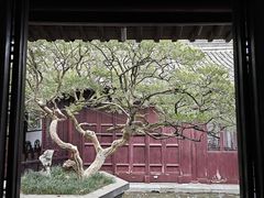 -水绘园