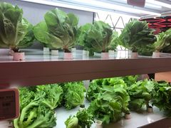 -盒马鲜生(大成店)