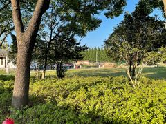 -嘉北郊野公园