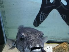-欢乐海岸海洋奇梦馆