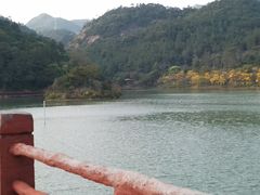 -广州白江湖森林公园