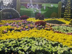 -南山植物园