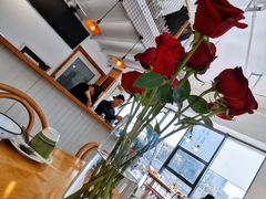 -yes or no(南部商务区店)