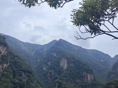 -牛背梁国家森林公园