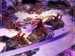 -沈阳海洋探索中心