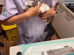 -瑞派·关忠动物医院·异宠专科·犬猫肿瘤·皮肤专科(望京店)