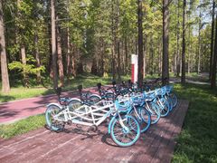 -黄海国家森林公园