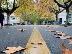 -四川农业大学(雅安校区)