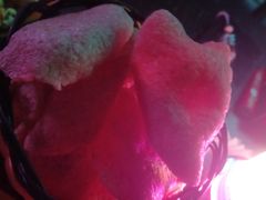 -MOSSO音乐酒吧·Live House(南京西路店)