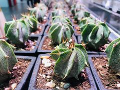 -KKV(深圳宏发大仟里店)