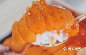 Sea Urchin Pudding