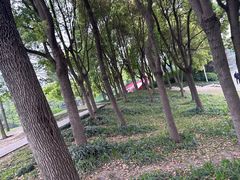 -美兰湖景区