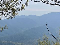 -灵隐飞来峰景区