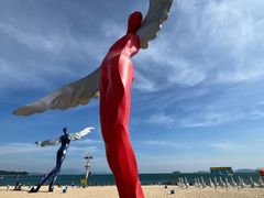 -大梅沙海滨公园