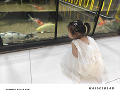 -凯德广场(学府店)