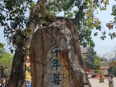 -西双版纳傣族园