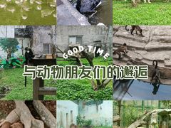 -广州动物园