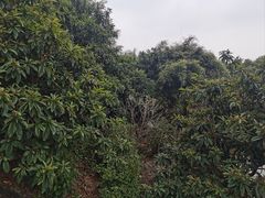 -九龙潭景区