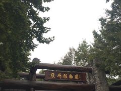 -山外山菜馆(玉泉路店)