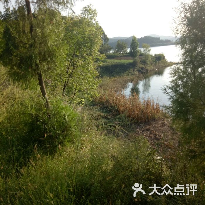 升钟湖半岛农家乐