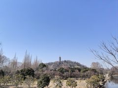 -焦山风景区
