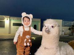 -Blue Concept Cafe&Farm·關於藍