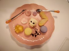 -三花喵·撸猫购宠·宠物生活馆(虹桥南丰城店)