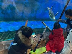 -华夏文旅海洋公园