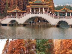 -星湖旅游景区七星岩