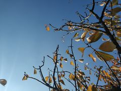 -南京钟山宾馆(江苏省会议中心)