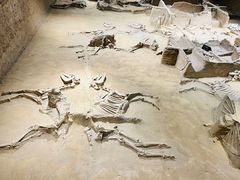 -洛阳周王城天子驾六博物馆