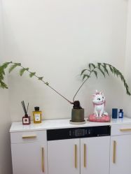 -WENDY·温迪皮肤管理