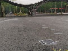 -东平国家森林公园