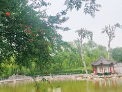 -莲湖公园