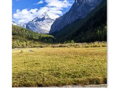 -稻城亚丁景区-冲古草甸