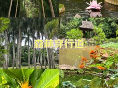 -中国科学院西双版纳热带植物园