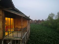 -崖口红树林海鲜餐厅