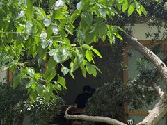 -绣园·茶食宴(湘绣博物馆店)