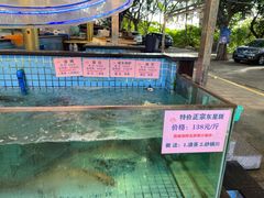 -荔城生鲜盛宴(番禺旗舰店)