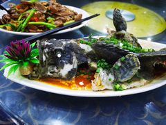 -七鲜渔港美食餐厅(巽寮湾海景店)