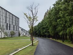 -上海长兴岛郊野公园