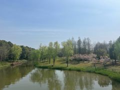 -自然谷恐龙园