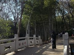 -虞山风景区