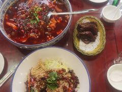 -邵年鸽(杨庄店)