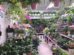 -三旗百汇商品城