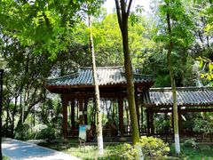 -龙头寺公园