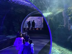 -江和美海洋公园