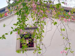 -深圳国际园林花卉博览园